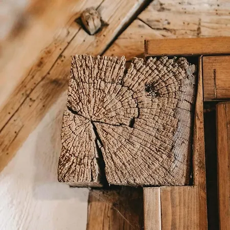 酒店 Naturhotel Maise 5*