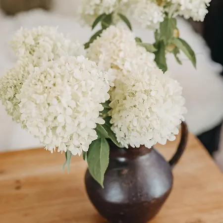 Naturhotel Maise 酒店 Hayingen