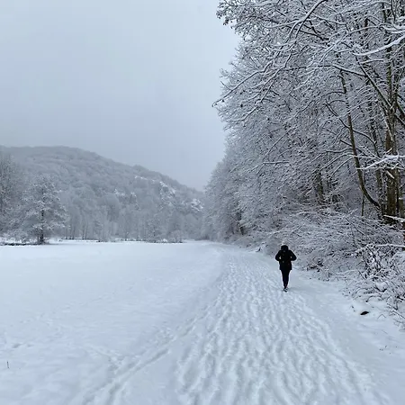 Naturhotel Maise Hotel Hayingen