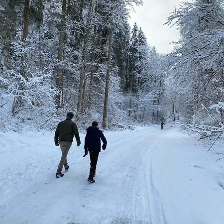 Hotel Naturhotel Maise Hayingen